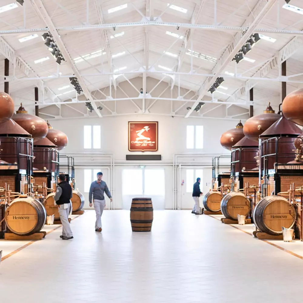 Proses Produksi Hennessy Cognac
