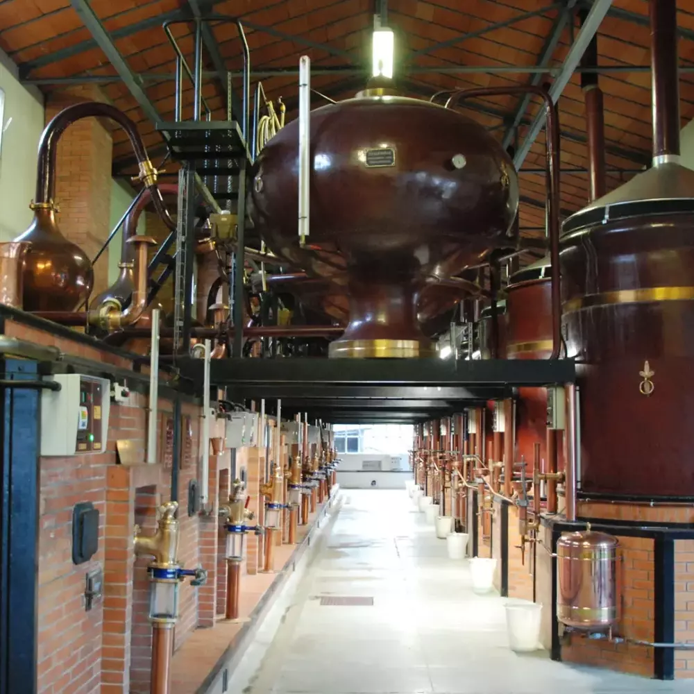 Mengenal Cognac dan Nilai di Balik Prosesnya